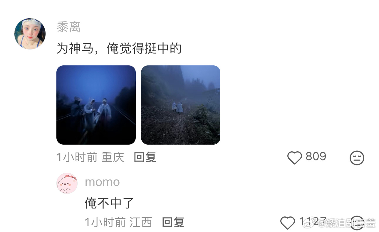 建议爬山不要买白色雨衣确实，爬山时穿白色雨衣安全隐患很大，容易与环境融为一体。户