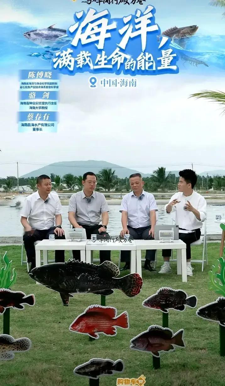 与辉同行昨日销售3200万左右
与辉同行昨日日常销售再次突破3000万
涨粉2万