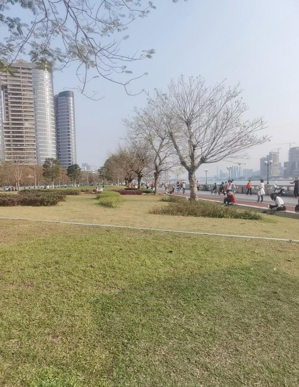 春暖花开的城市风光
📍广州 洲头咀公园
滨江西路一线江景，同白天鹅隔江相望，视