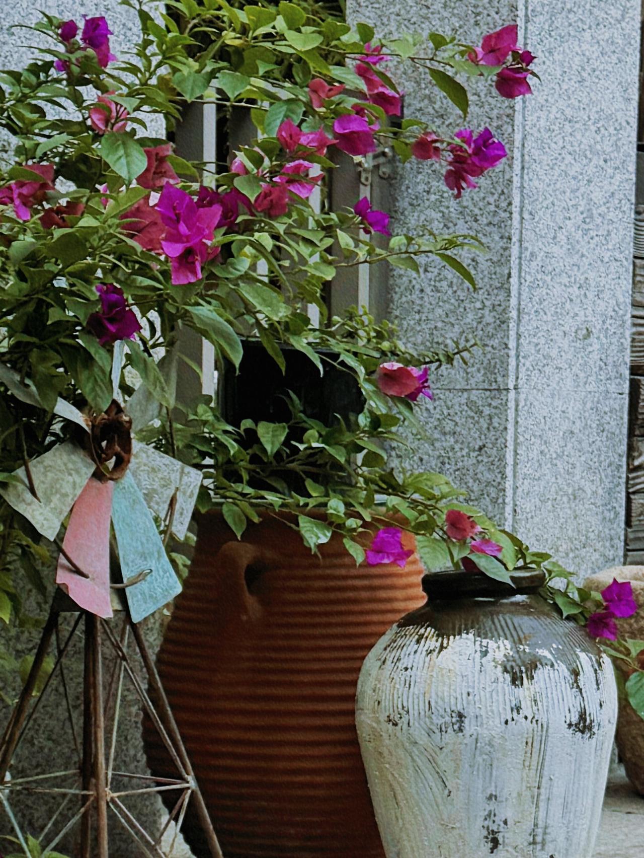 人生低潮时，不妨尝试与岁月对话。那些被时光浸染的记忆，如同窗前白月光，在孤寂时刻