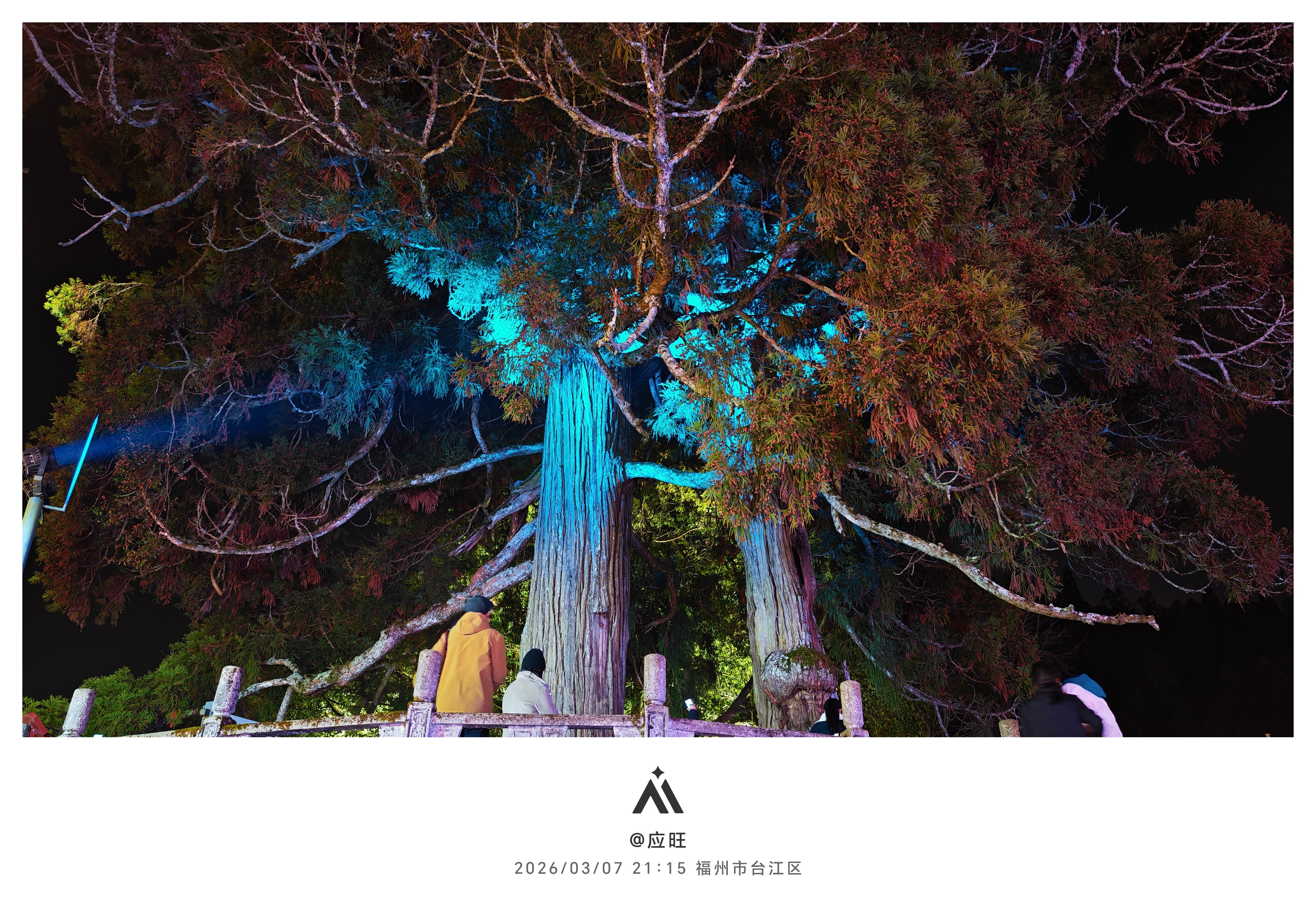 今天夜访周宁鲤鱼溪：八百年人鱼情，一溪灯火暖古村夜幕降临，福建周宁浦源村鲤鱼溪褪