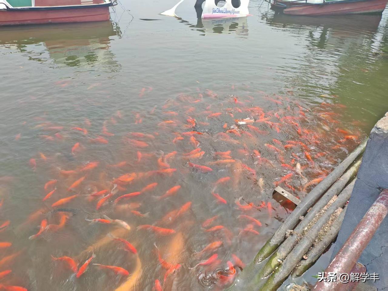 千金难买牛回头！
a股牛市继续推进！
分化结构性牛市仍然会继续推进！
轻指数重个