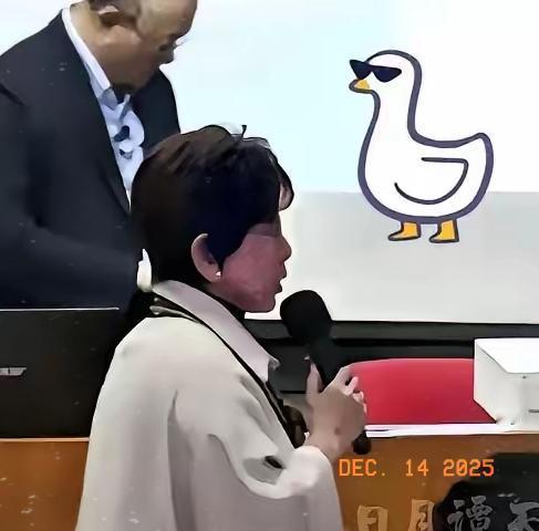 洪秀柱一句“小日本”炸穿全网：这股痛快背后，藏着两岸最硬核的情感纽带
 
“小日