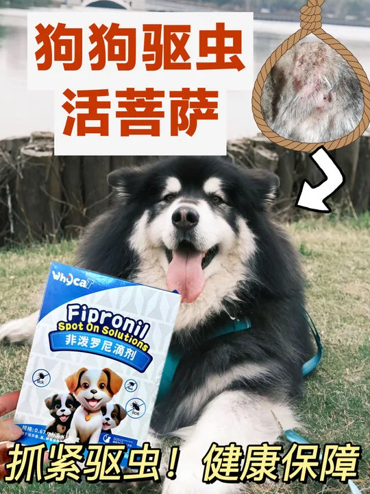 都这时候了，还不去驱虫的怎么想的！！