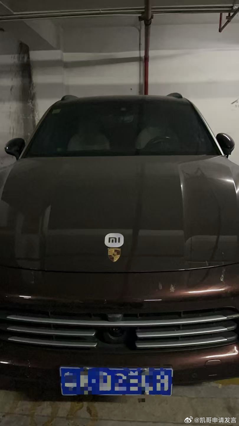 哈哈哈，这是正宗保时米