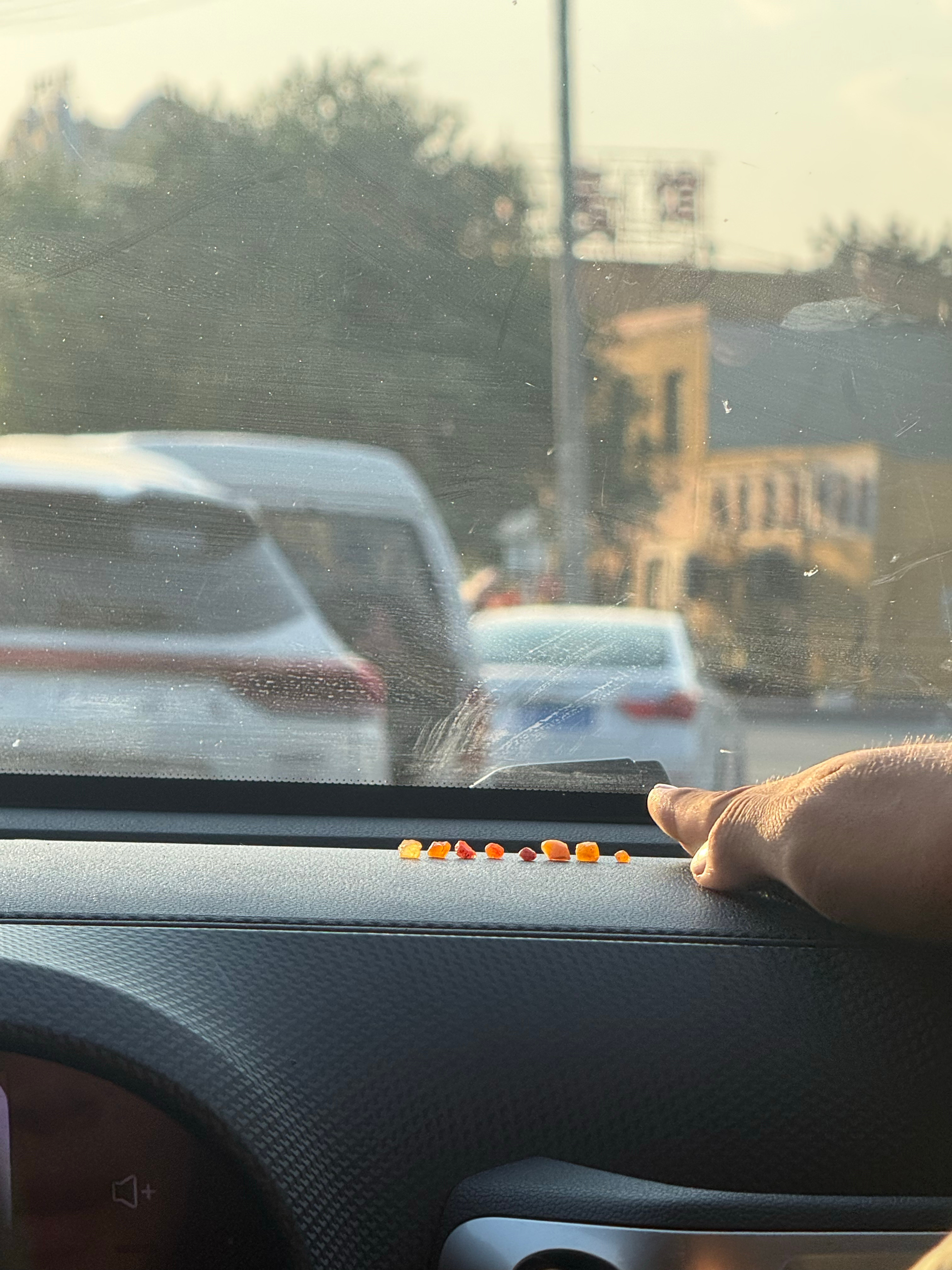 艾文捡的小石头还挺好看的 