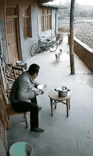 汪星人：主人，我有三个朋友想来吃饭，他们喜欢吃肉。
主人：你个狗。