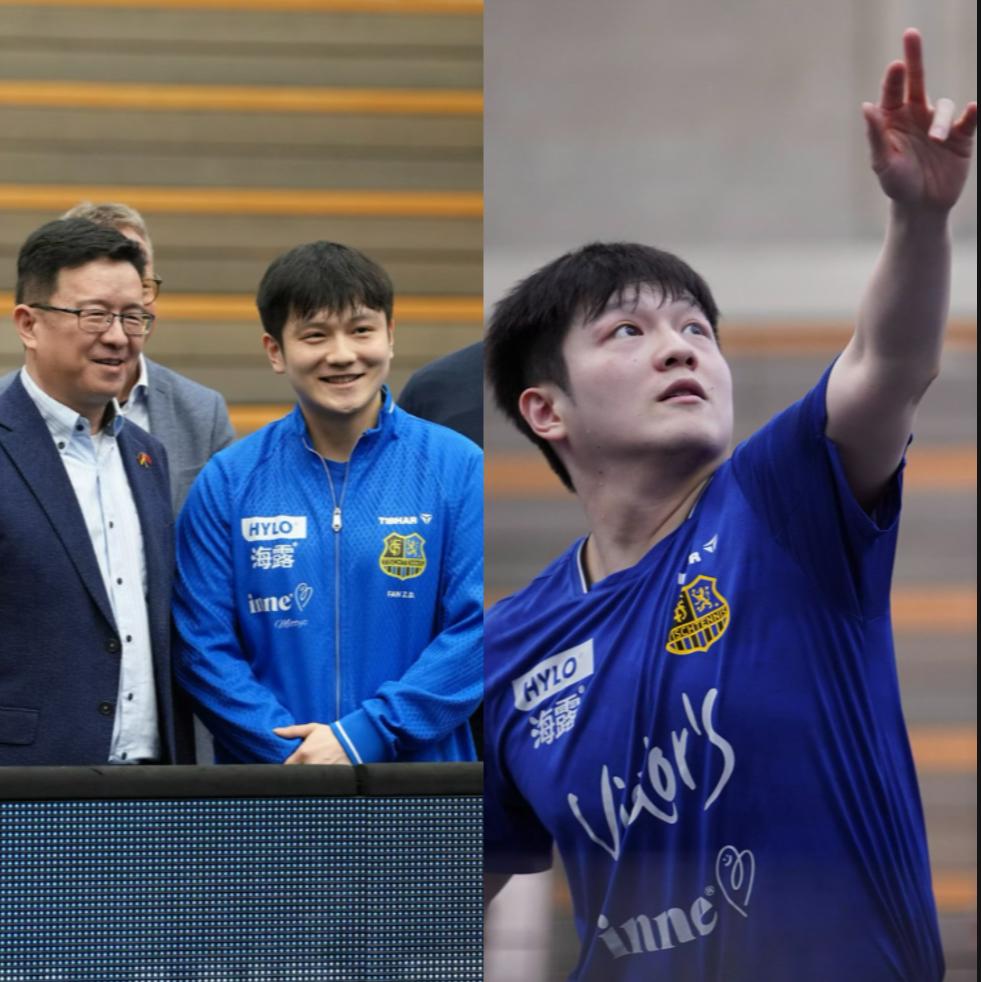 神奇的一夜，
一边是国乒丢冠，
另一边是樊振东马年开门红，
是巧合，还是天意？