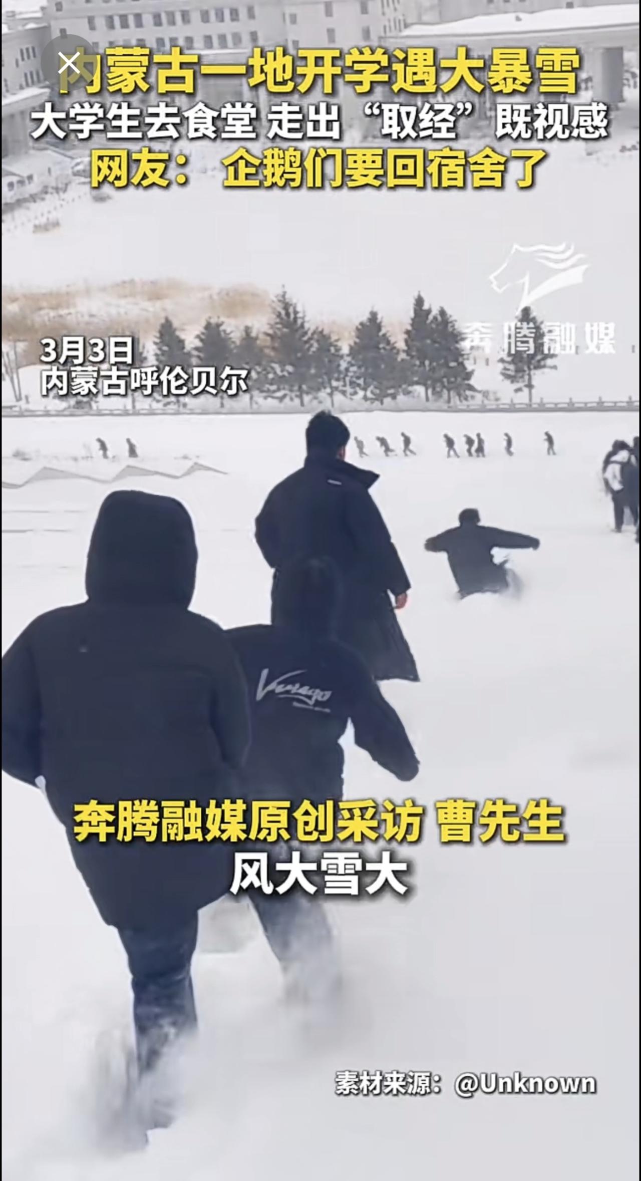 内蒙古一地开学遇大暴雪 大学生去食堂 走出“取经”既视感 网友： 企鹅们要回宿舍