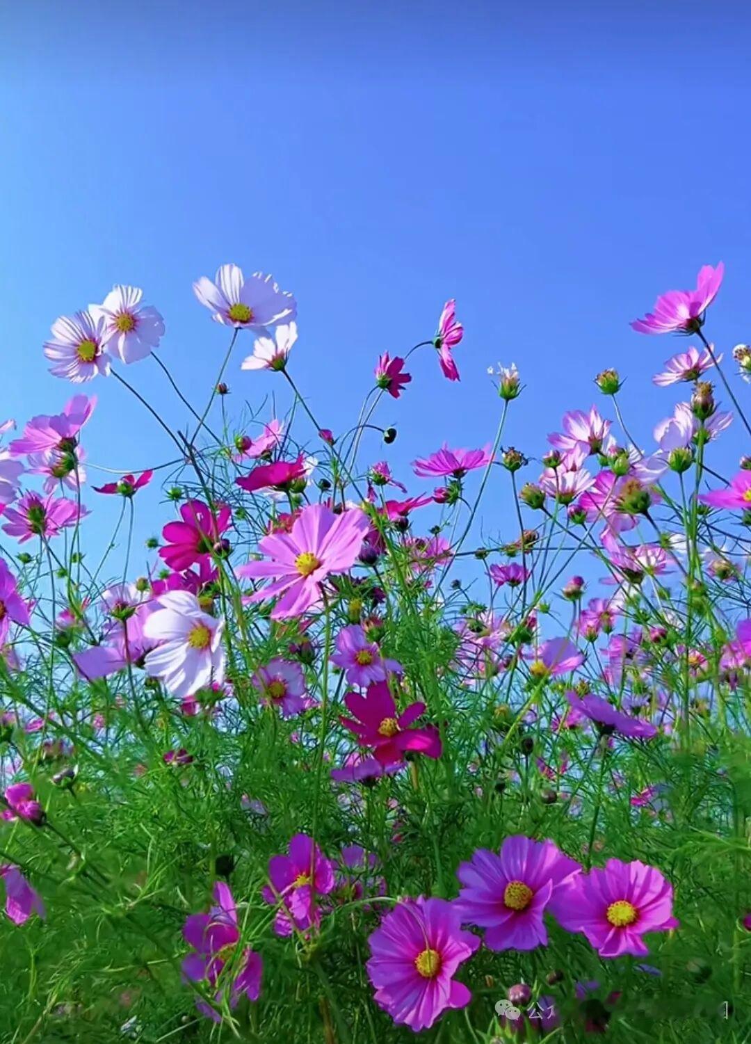 请用一句话概括一下，什么是幸福幸福是内心深处的满足与平静，源于接纳当下、珍视所爱