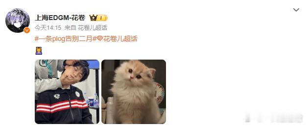 花卷猫塑自己 人，你看，我是猫🐱～好可爱的卷子哥！ 