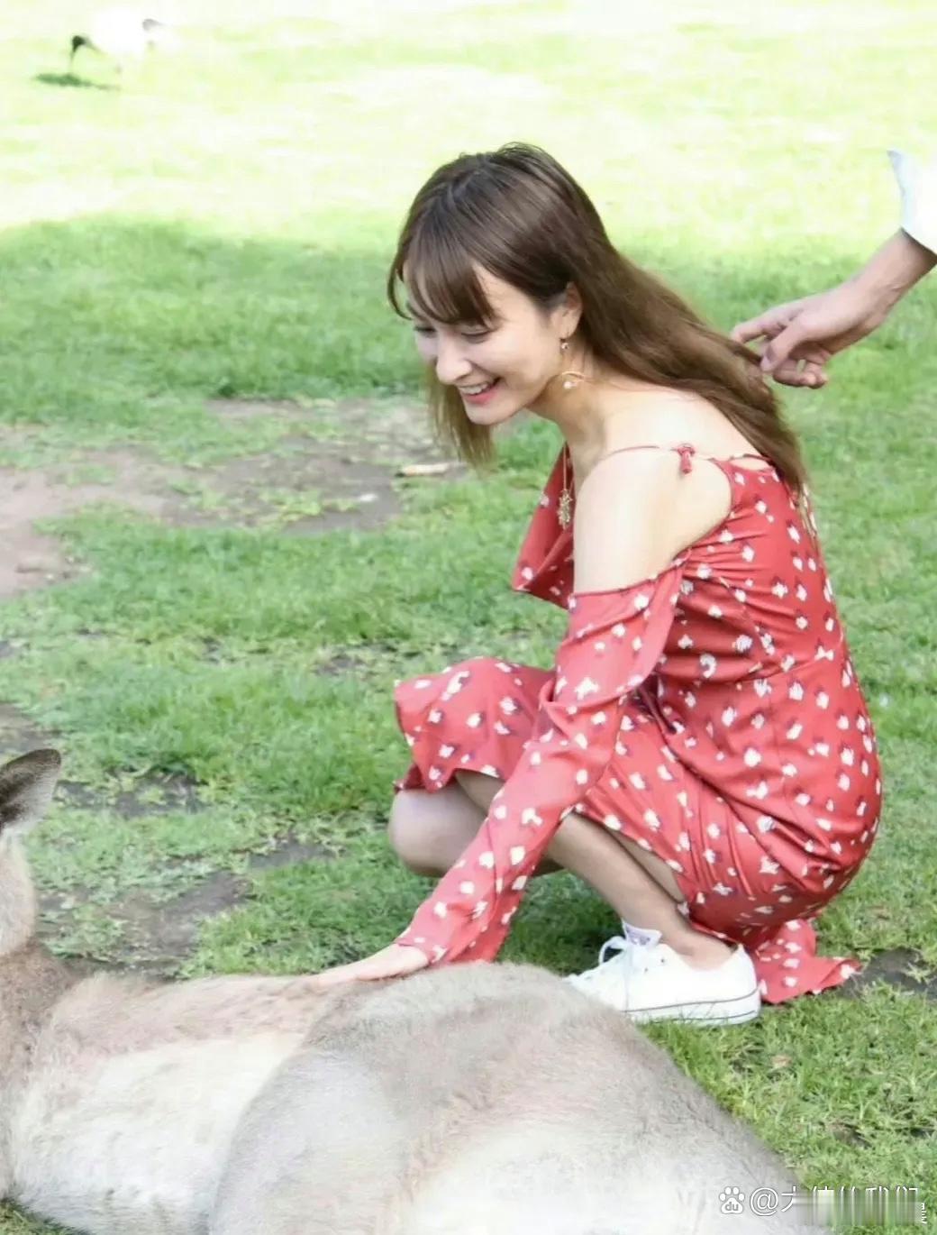 吴昕在澳洲旅游时和袋鼠互动的画面太治愈！她笑着和袋鼠贴贴，脸上满是阳光感，可爱又