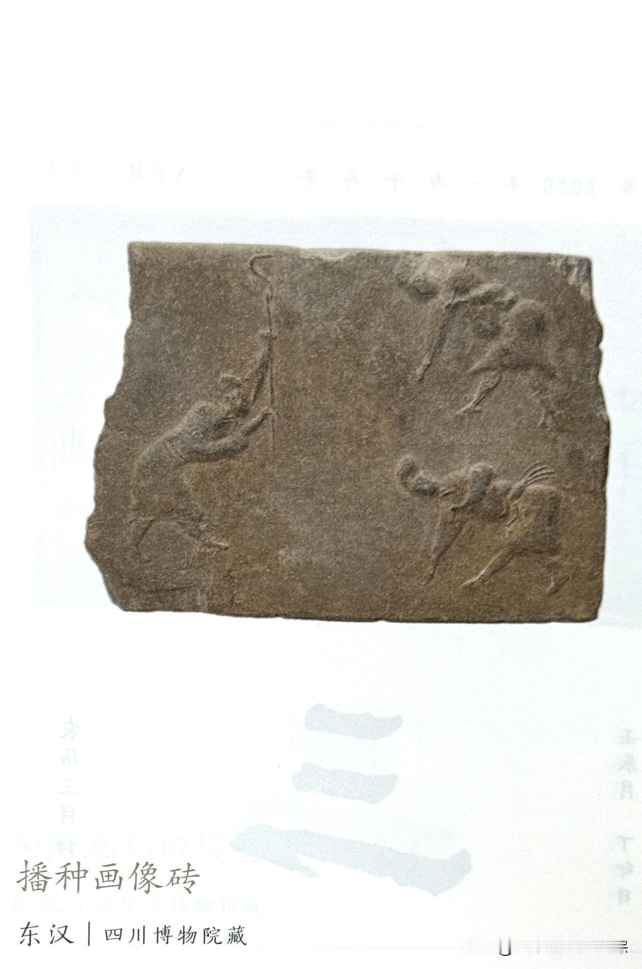文博每日分享：播种画像砖，时代东汉。现收藏于四川博物院。
四川省成都市新都区出土