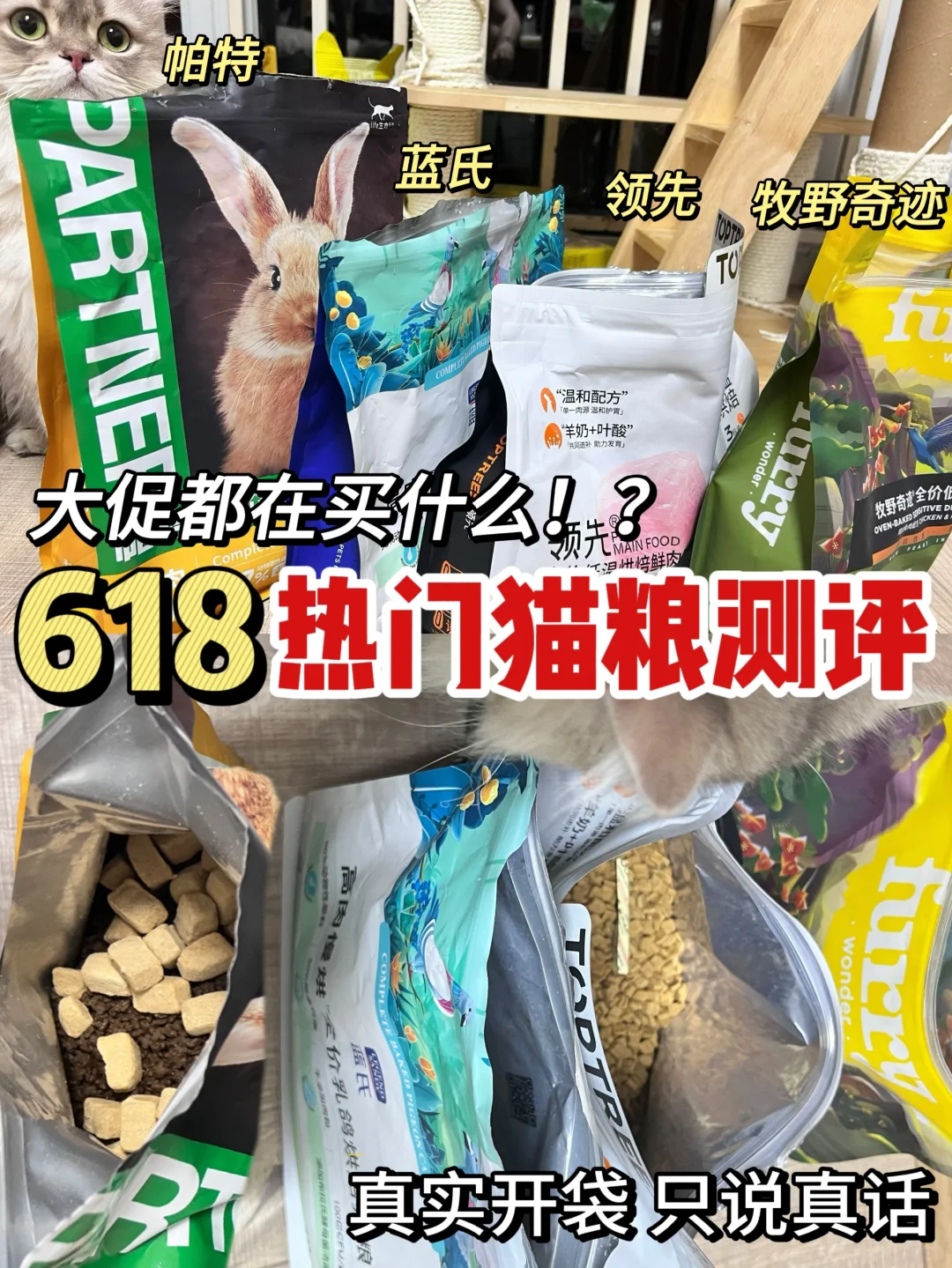 不吹不黑热门猫粮测评篇！吃过才敢说实话！