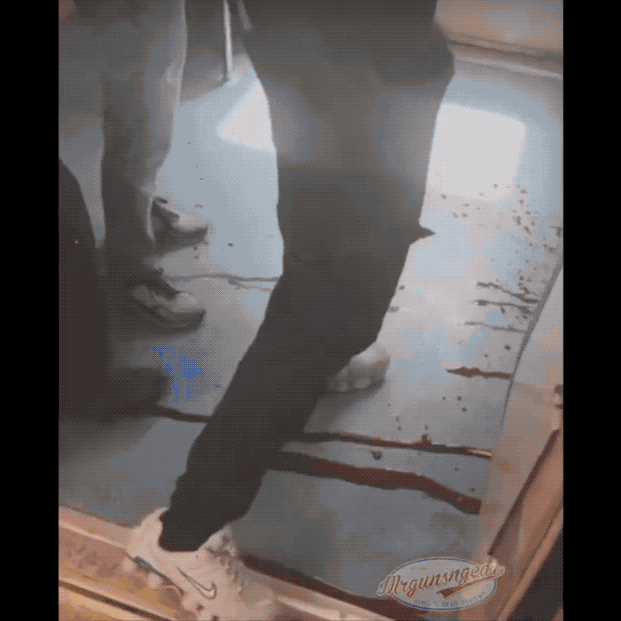 美国22岁黑人残杀66岁黑人老妇：轻轨车厢全是血，警方称毫无意义的暴力！在美国亚