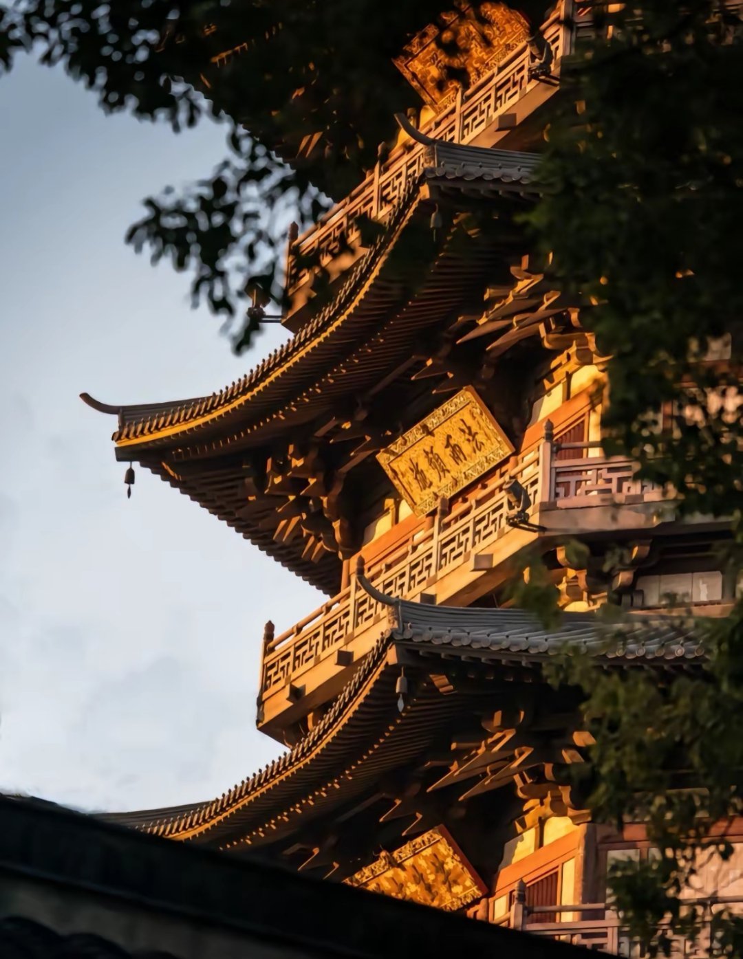 今年，希冀幸福将是徒劳的。不要希冀任何事，而是要做点什么。不要等待着他人从头至尾