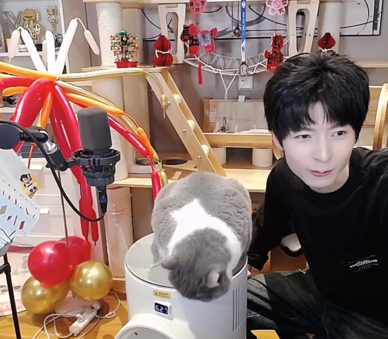 这个gwt就这样暴露男女明星的体重，什么意思！ 