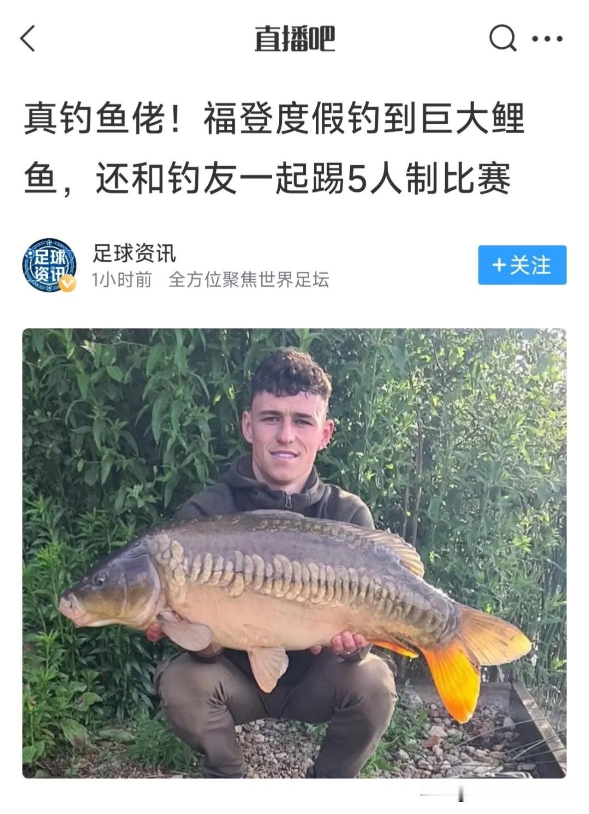 这是什么品种的鲤鱼🐟