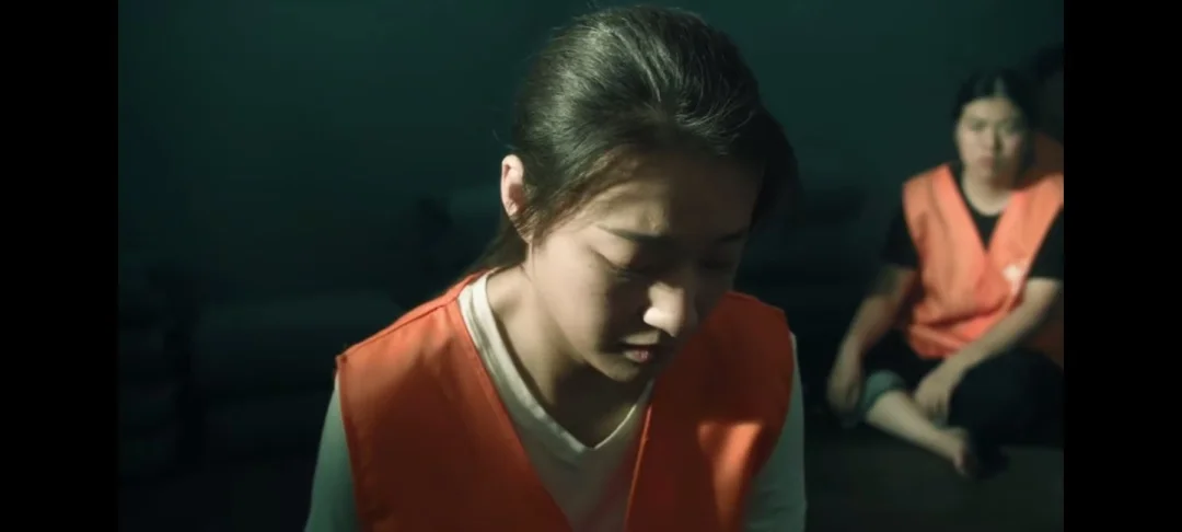 刘青坐牢的真相，才懂卢少骅为何带吴燕萍走