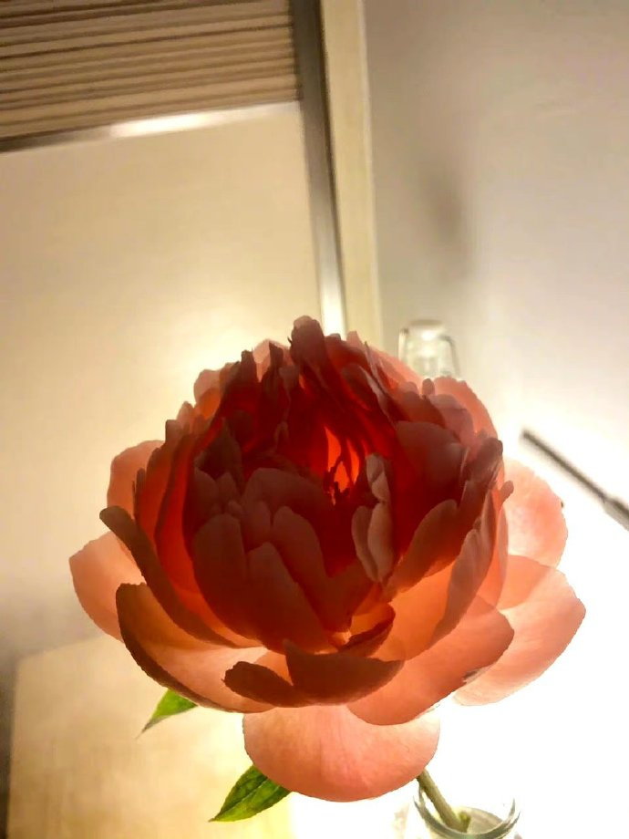 “有些事能想通也能接受 但还是会难过，以前不说话是在生气 现在不说话是在调整心态