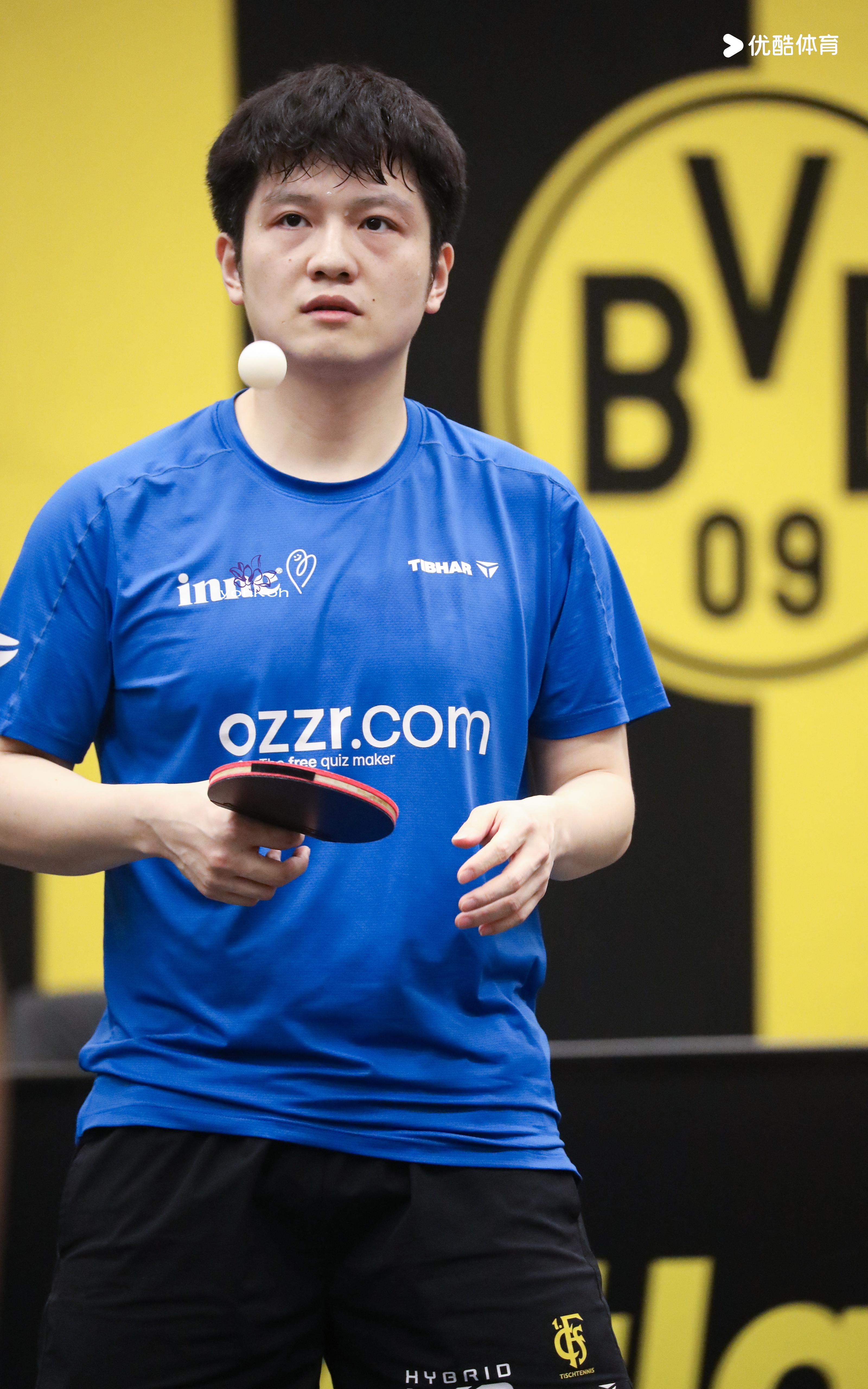 樊振东 樊振东德甲 会一直去往你在的地方东东午安繁星晚好 