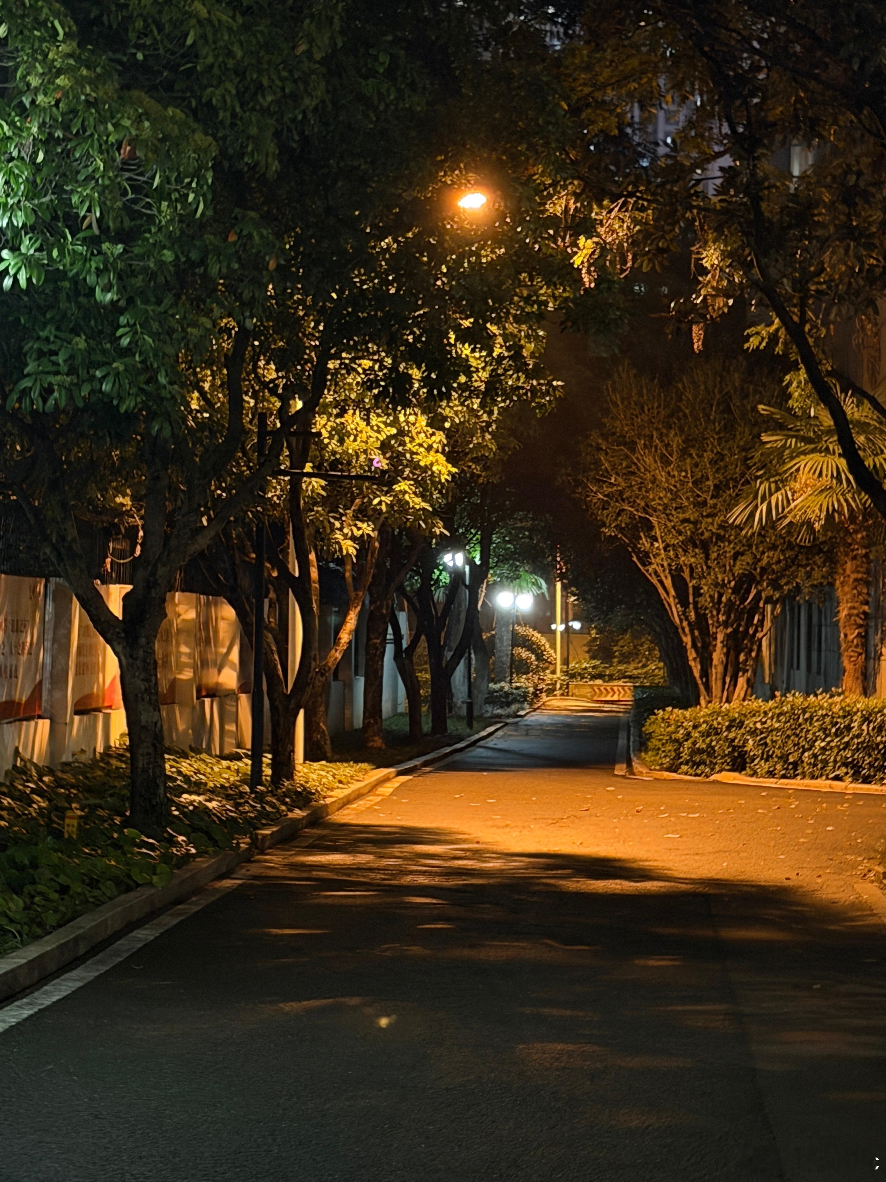 秋天就是一定要在橘色灯光下散步接吻 ​​​