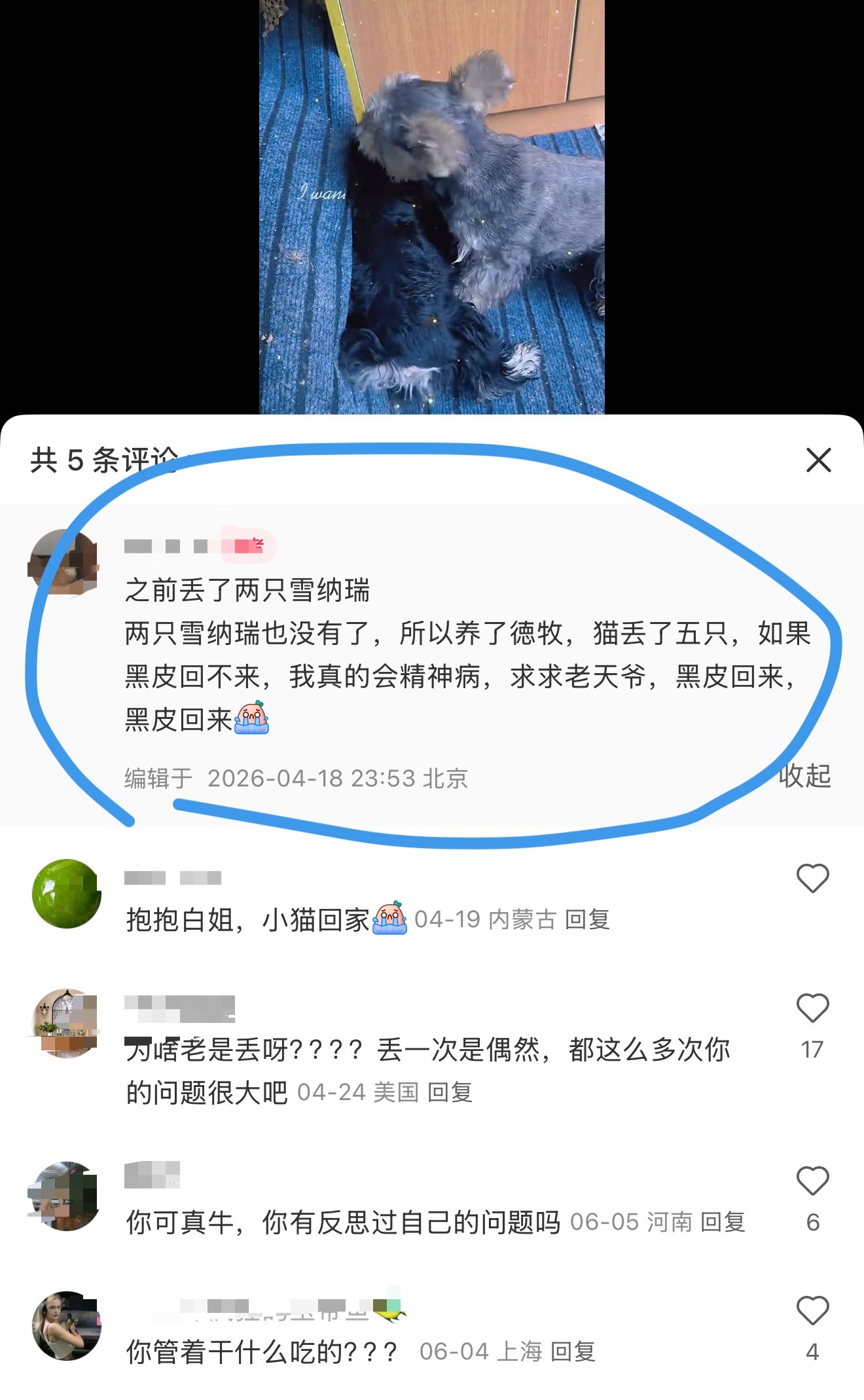 ……猫养丢了五只 狗养丢了两只 这人还敢发出来？？没事吧。 