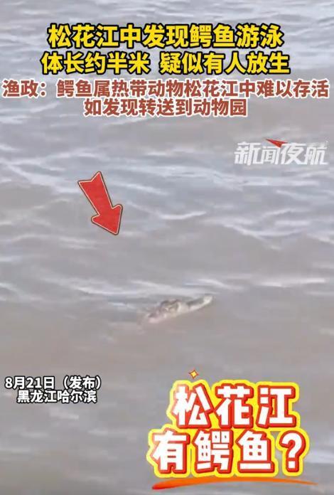 “无知真可怕！”黑龙江哈尔滨，一男子在松花江边散步时，突然听到“扑通”一声，好像