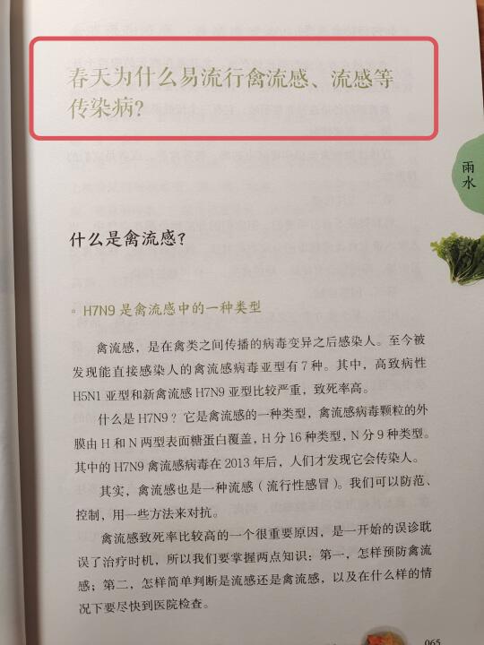 陈允斌老师——春天为什么会有流感……🔥