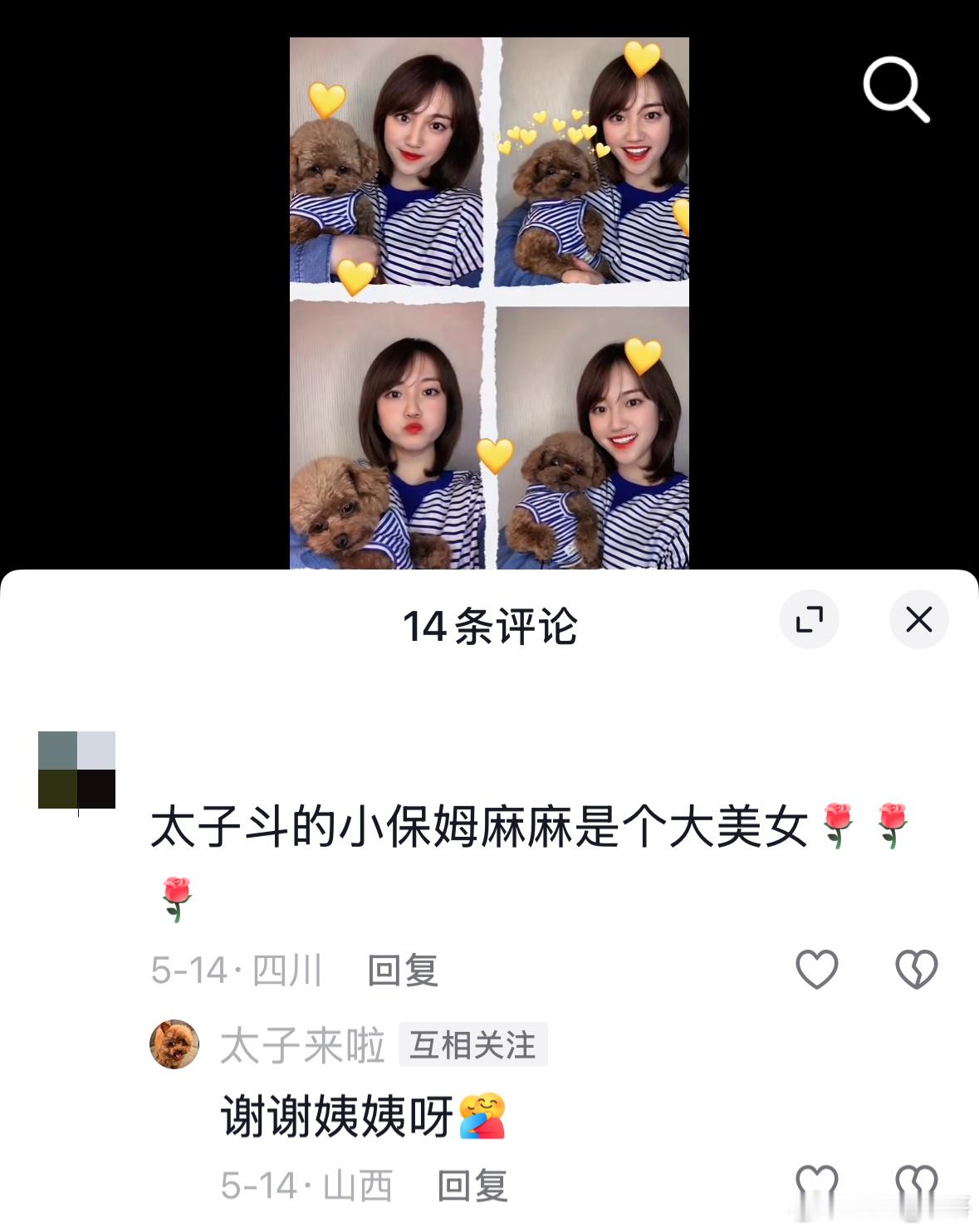 我的萌宠账号（太子来啦），经常遇到很友好的粉丝，夸太子的同时，基本也会把我再夸一