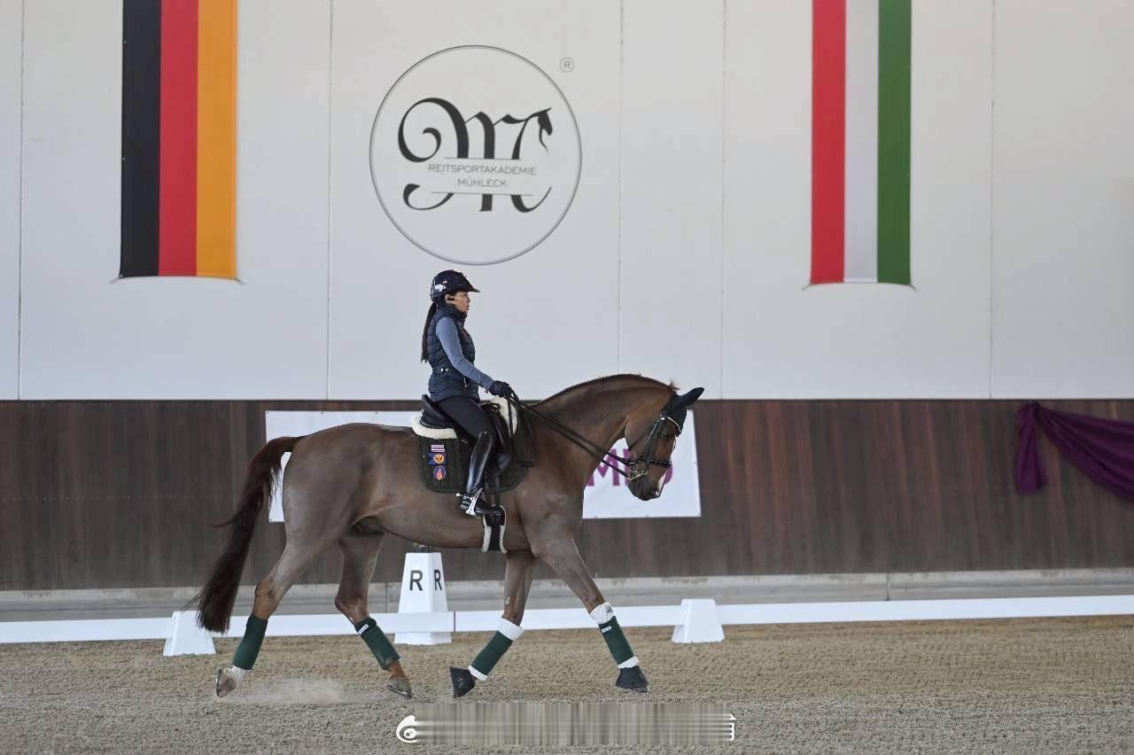 王室王室泰国王室镇宅 镇宅新的马术训练。 