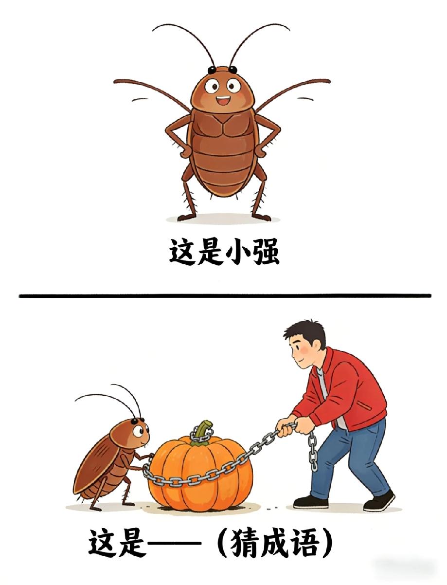 笑喷！小强和人抢南瓜猜成语，答案藏谐音里，90%的人都没猜到