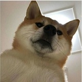 包爱聊音乐