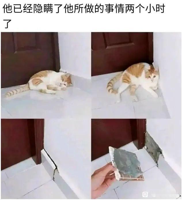 此地无银 