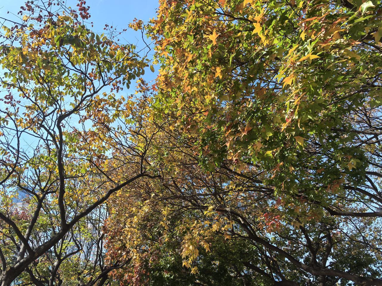 分享一下你随手拍下的照片冬日时光只要有暖阳，一样的幸福美好[玫瑰][玫瑰][玫瑰