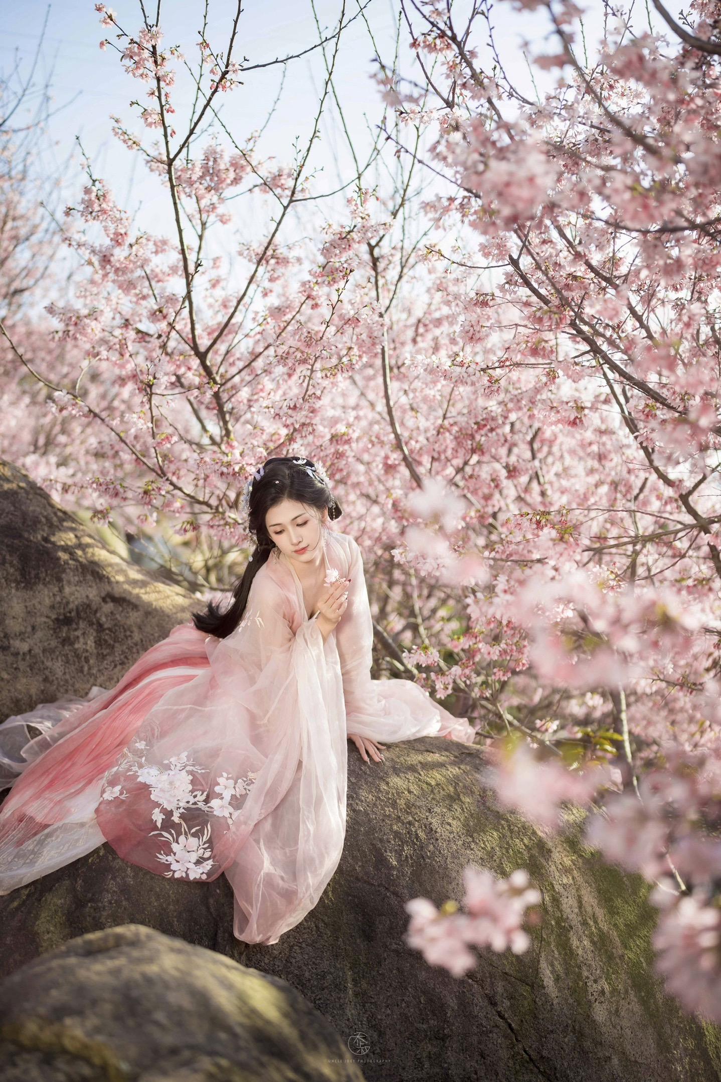 春日早樱，且等风来。🌸。
