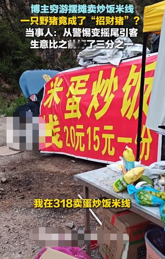 博主穷游摆摊天降招财猪，在西藏，有位博主自己动手摆了个小摊，卖炒饭和米线，走的是