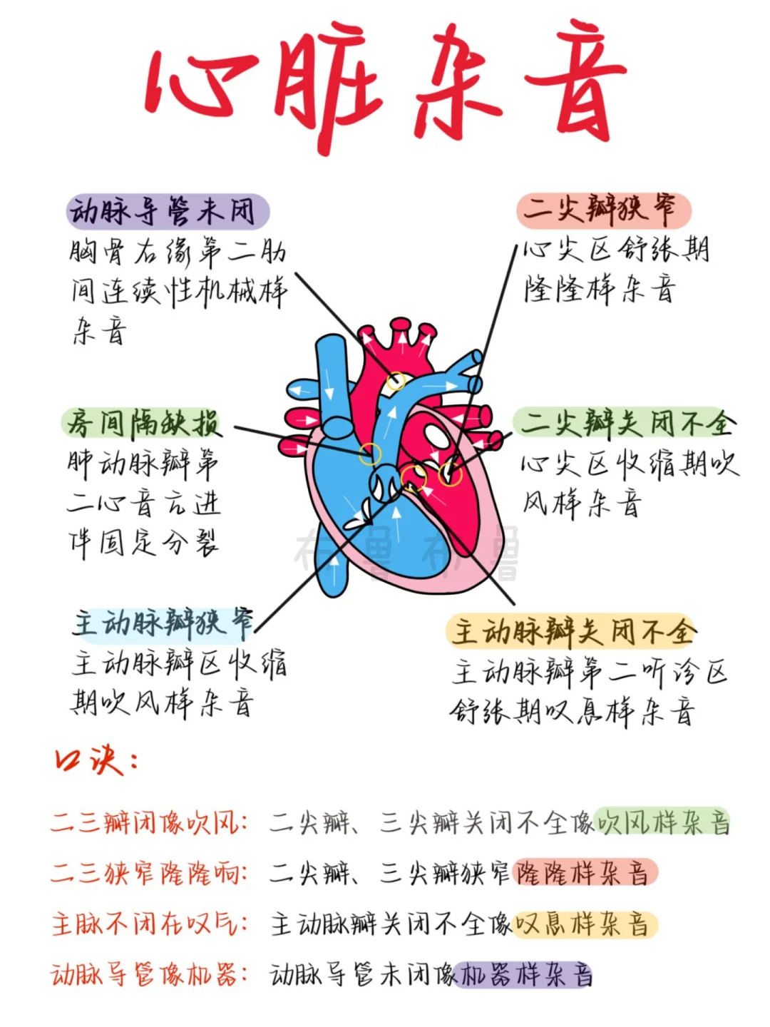 医学生笔记——心脏杂音