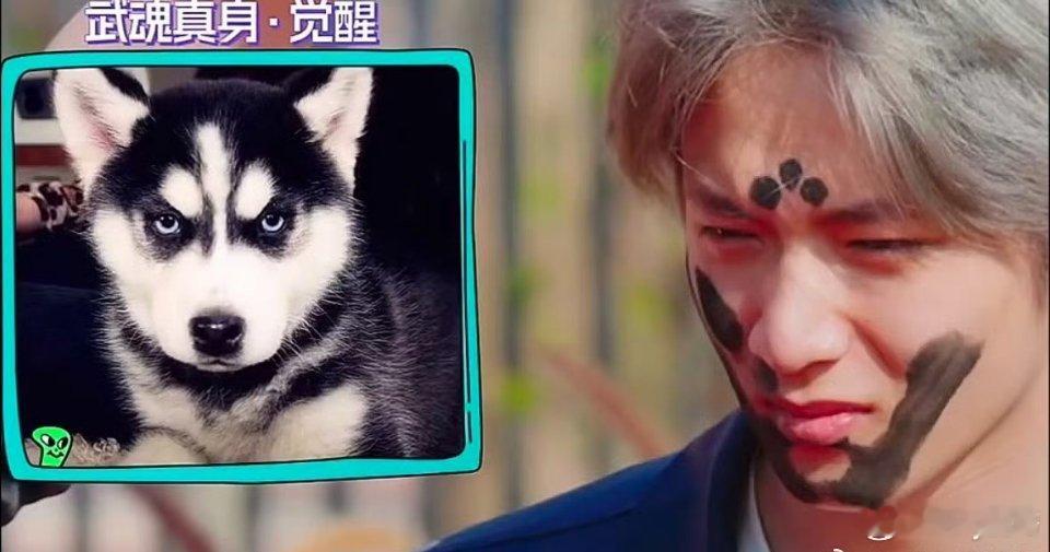 刘耀文怎么变二哈了刘耀文变二哈了 刘耀文二哈血脉觉醒了刘耀文