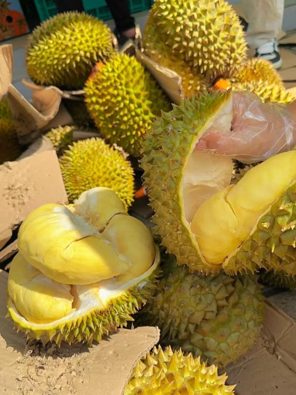 榴莲
不查不知道
一查，我真的炸裂
每个月发了工资，我会奖励自己一个榴莲，家里孩
