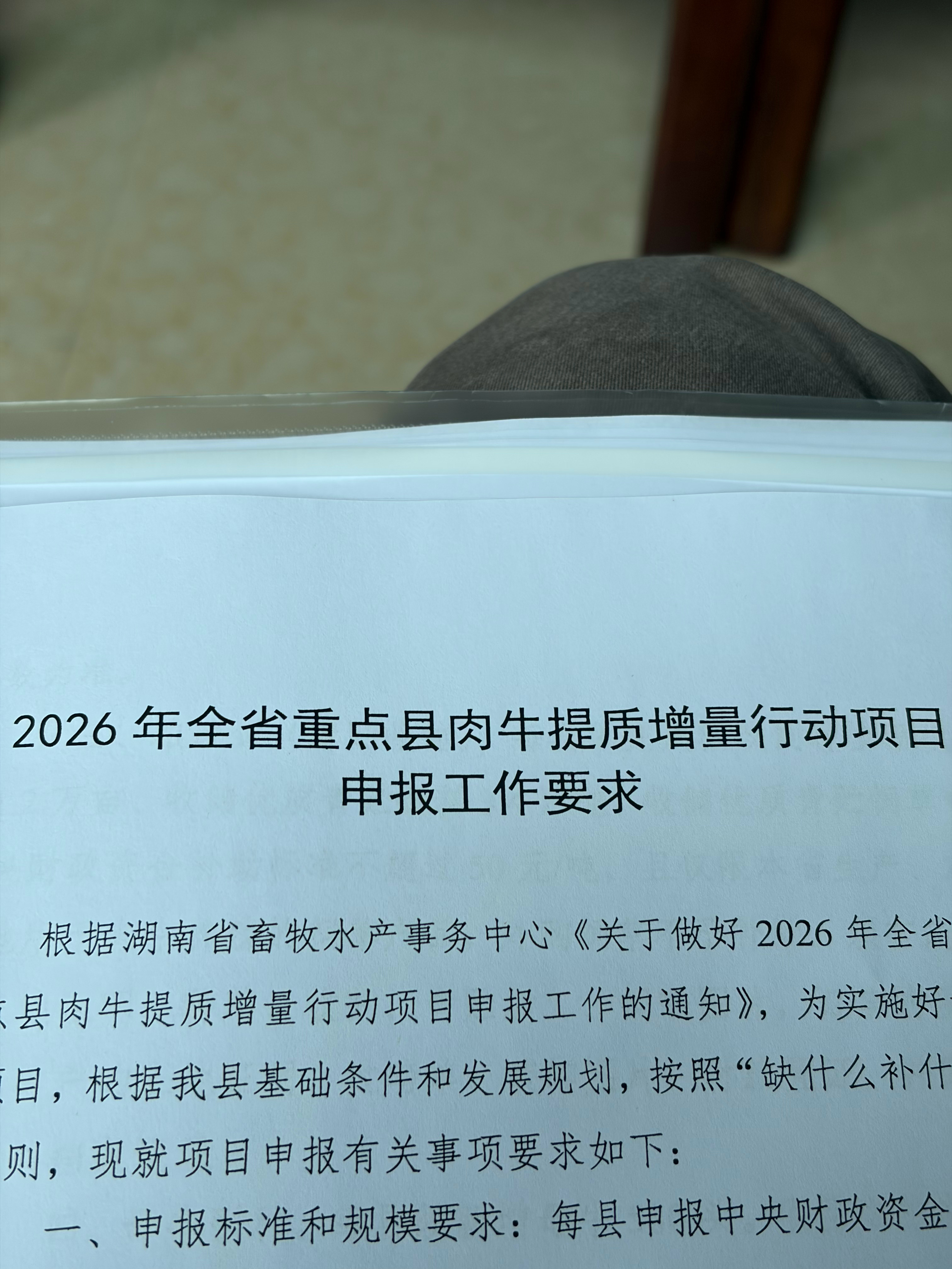 今日工作，替我爸来开会