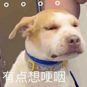 国庆中秋你们放几天？一天不放的默默路过……[卡皮巴拉] ​​​