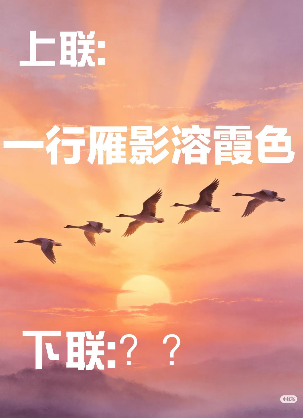 上联：一行雁影溶霞色，
下联：？？