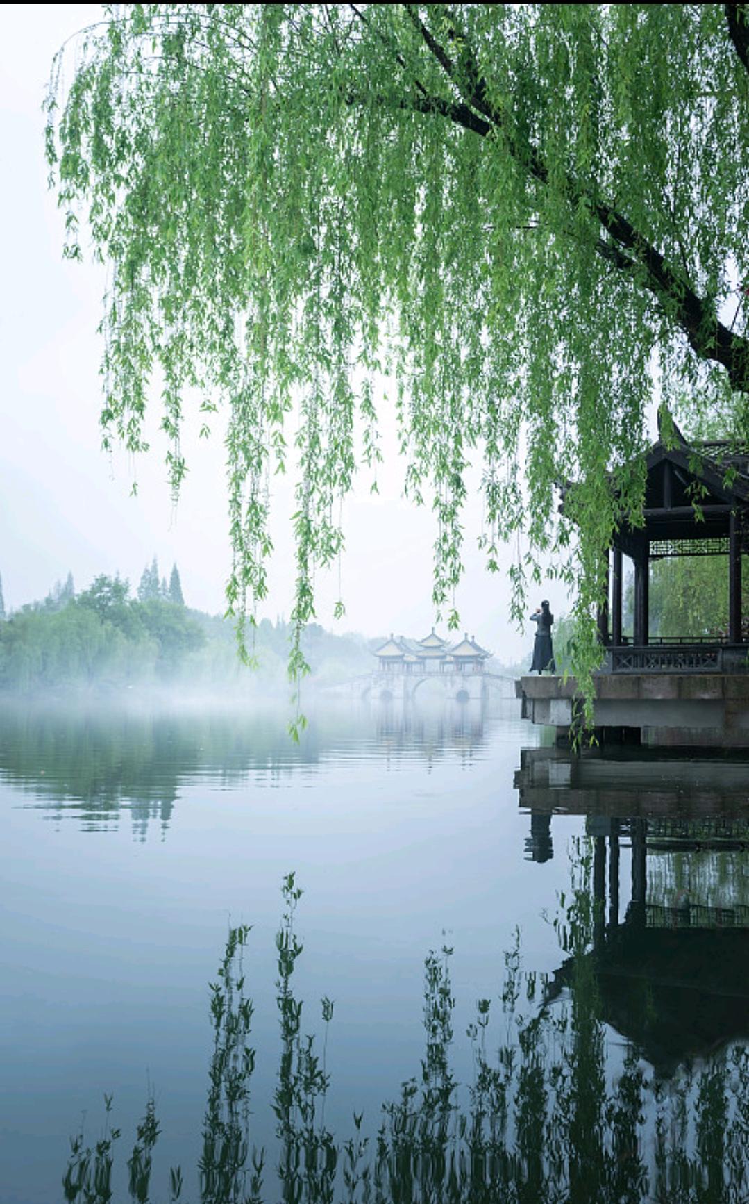 清明上坟烧错坟，
现在想起来都后背发凉
 
清明祭祖这件事，
真的由不得半点儿马