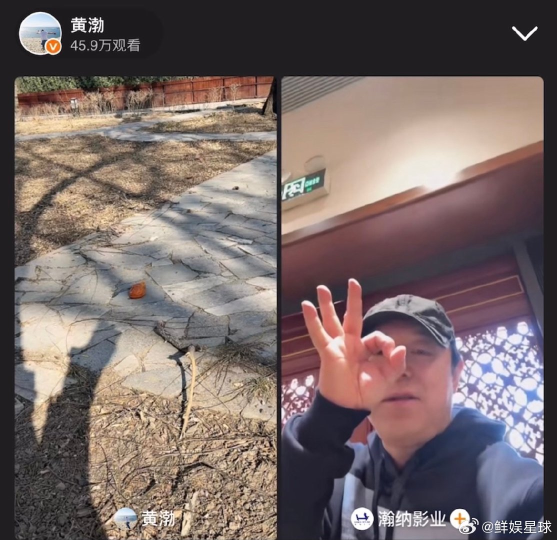 太闲了陪黄渤在这喂喜鹊 渤哥用柿子喂喜鹊，架好手机人就跑，留几十万人在线等鸟 