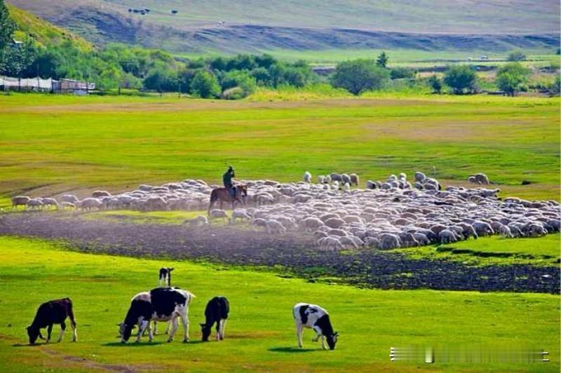 来中国旅游的法国朋友在群里表示：来之前听说北京是中国消费水平最高的城市之一，到了