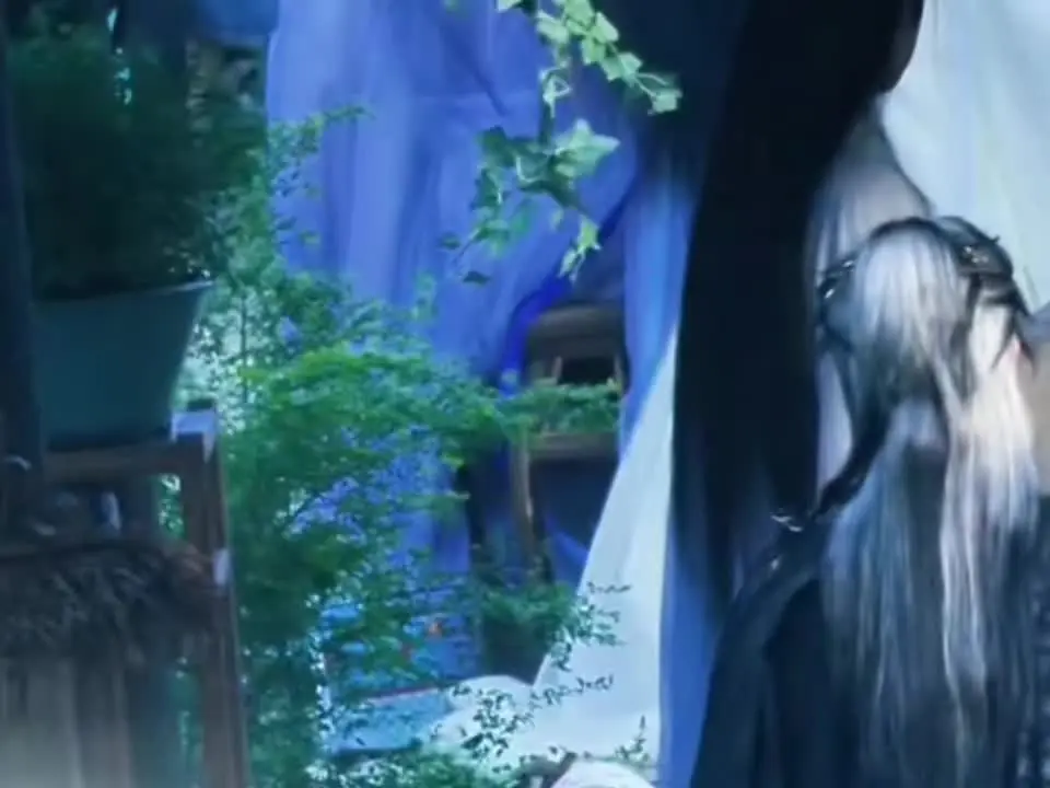 阿黛是圆满的大结局