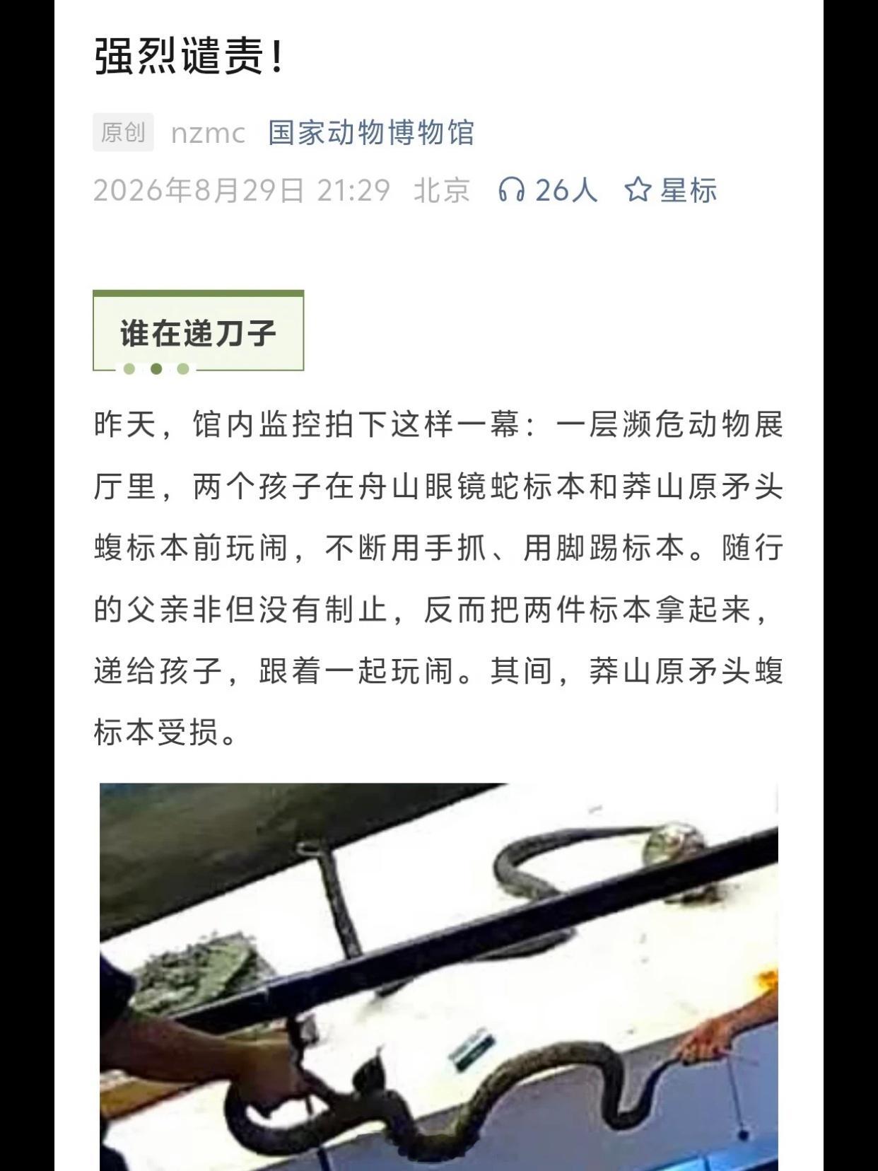 国家动物博物馆强烈谴责一家子巨婴[黑线]当爹的带娃逛濒危展厅，不管孩子抓踢标本就
