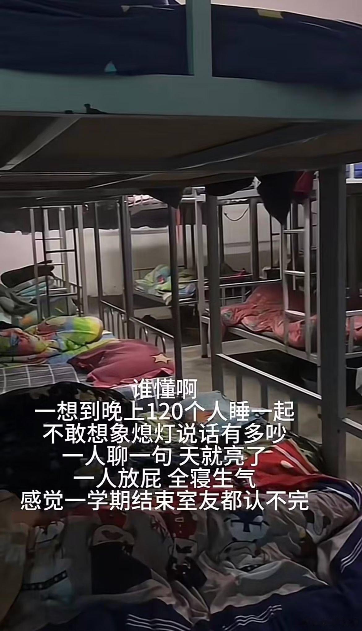 宿舍寝室长直接升级为族长 ​​​