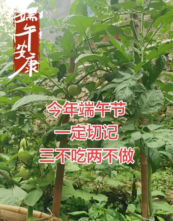 老祖宗说过：“端午节三不吃两不做，麻烦不缠身。”每一样都是要注意的大忌，特别是5